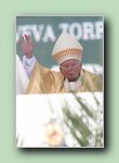 Colegiata Bas�lica de Santa Mar�a - La Seo - X�tiva - [Pulse para ampliar la fotograf�a]